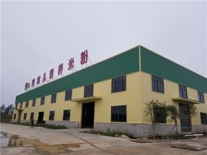 Radionica za preradu rižinih rezanaca sa čeličnim okvirom od 5000 m²